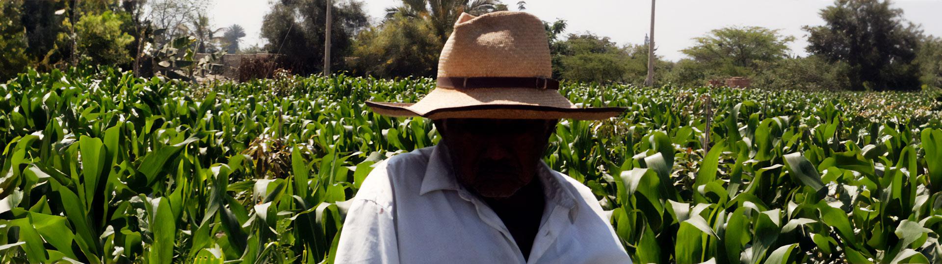 Agriculture_y_Horticulture_01 Agriculture & Horticulture Tours