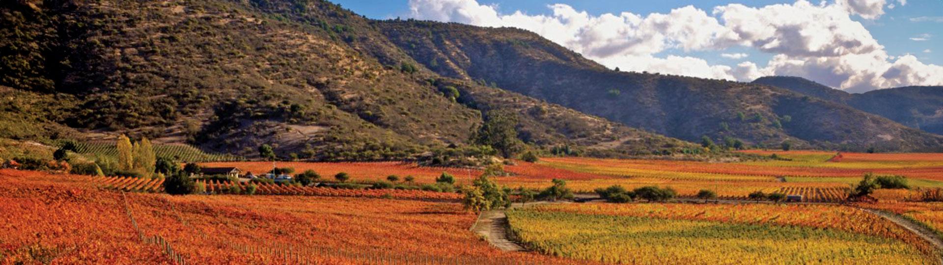 Wine_Tour Wines of the world