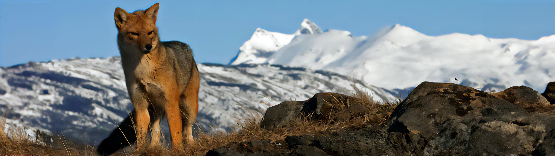 wildfire_river_cruises Escorted Tours - Anglatin