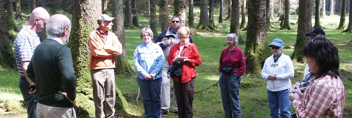 Escorted Tours - Anglatin