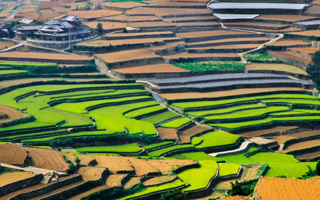 Japan: A Journey Through Culture, Geography, and Innovation