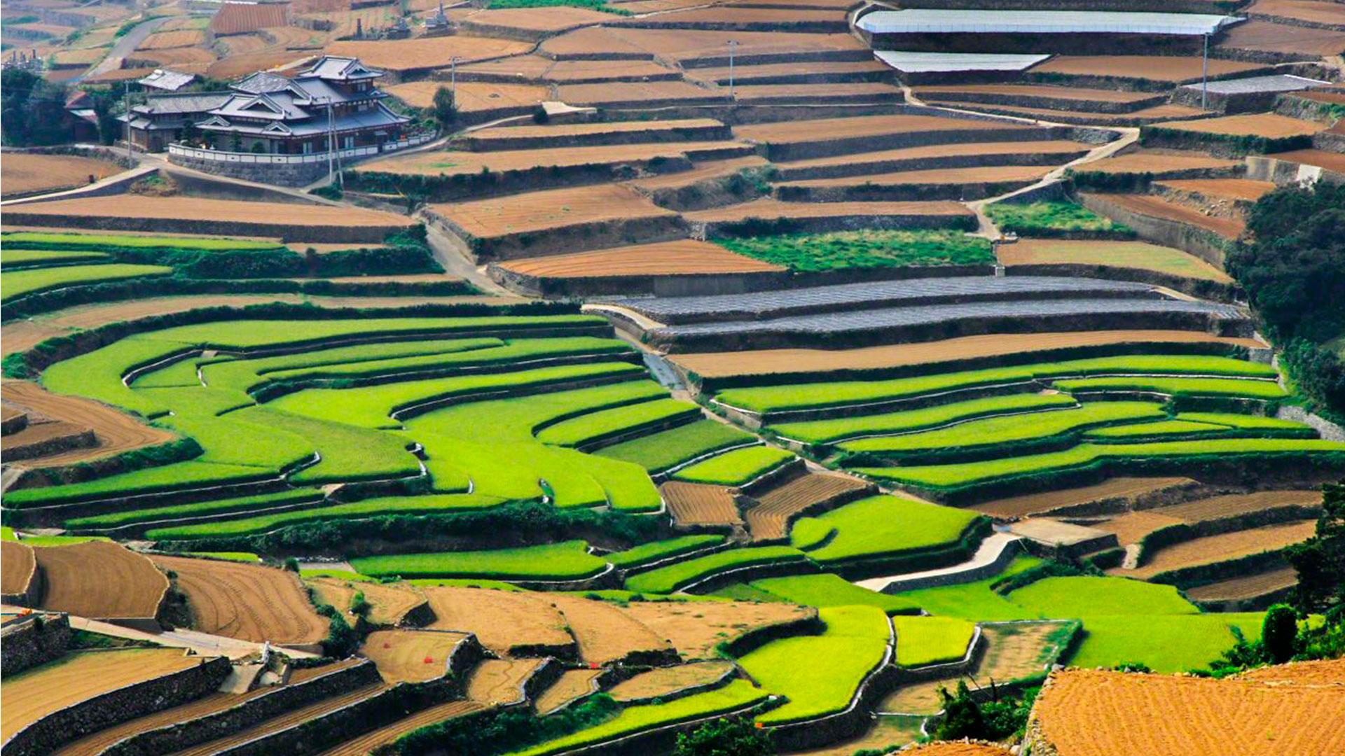 accessible_blog_travel_japan