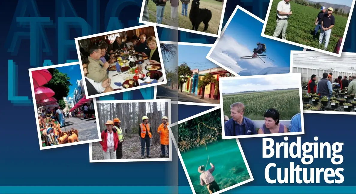 Brochure Anglatin